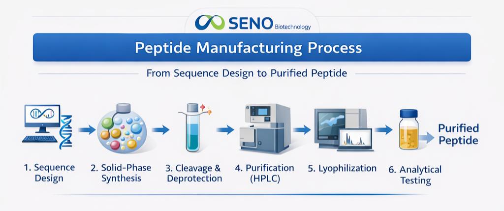 Research 3 SENO Peptide Research Workflow (flux de travail de la recherche sur les peptides)